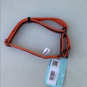 Blueberry Pet NWT dog collar orange Large